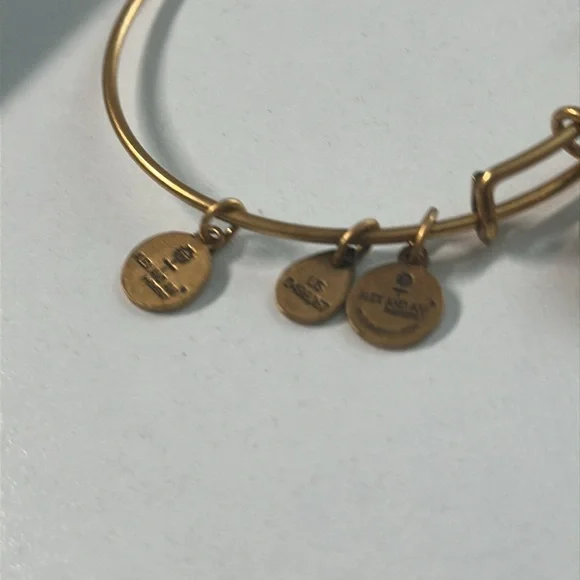 Pre owned Alex and Ani 2014 Charm Bangle Bracelet - Picture 7 of 13